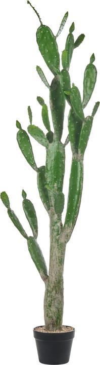 Actual product image Beliani Opuntia Cactus (150 cm)