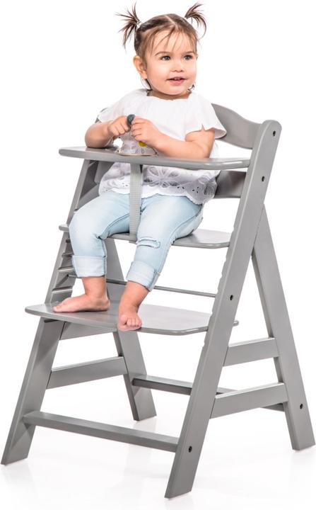 Immagine prodotto Hauck alfa+ (Seggiolone)