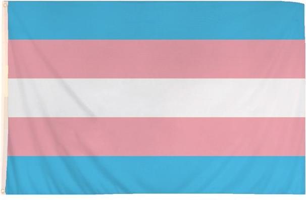 Henbrandt CSD Fahne Transgender Pride 1,52m