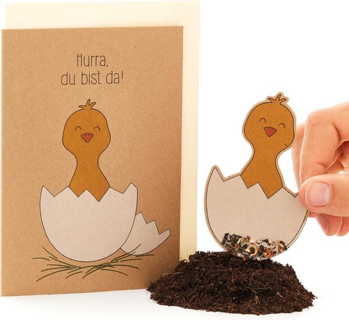 Die Stadtgärtner Greeting card birth card with flower seeds (1 pcs.)