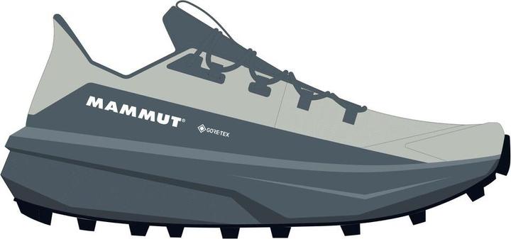 Actual product image Mammut Aenergy Hike Low GTX Women (39 1/3)