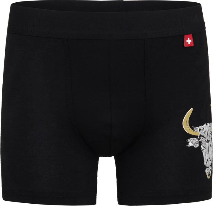 Actual product image ISA Bodywear Panty (104, Single pack)