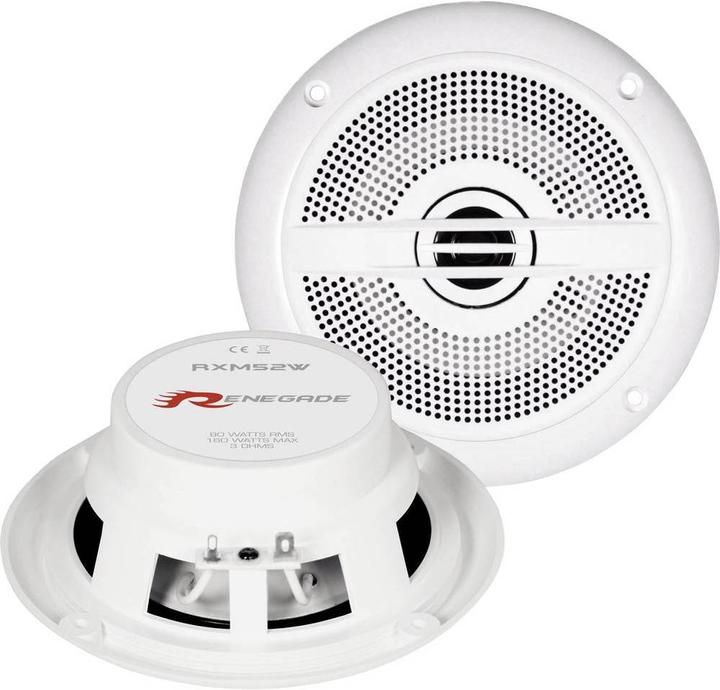 Renegade Altoparlante coassiale a 2 vie per esterni da 13 cm (5,25″) (160 W)