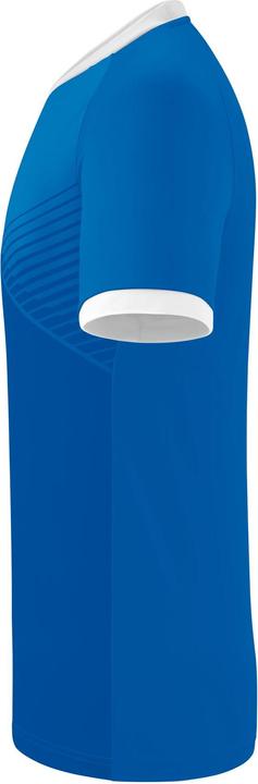 Actual product image Erima Mantua Trikot (L)