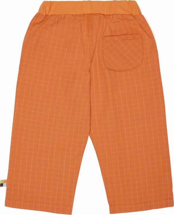 Actual product image loud + proud Fine check trousers (110)