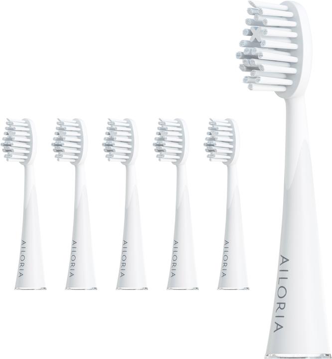 Image du produit Ailoria Shine Bright (6 x)