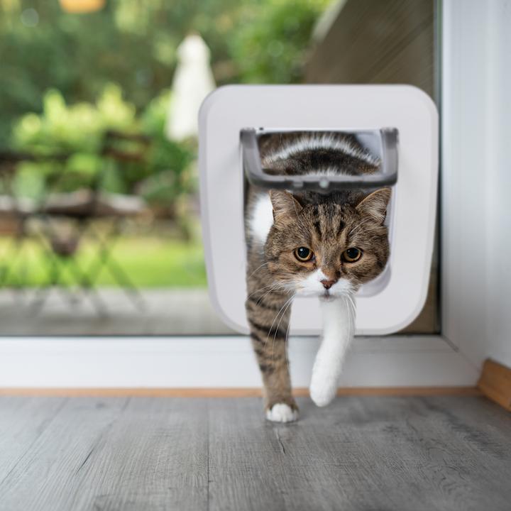 Immagine prodotto Relaxdays Sportello per animali domestici (Zanzariera magnetica per gatti)