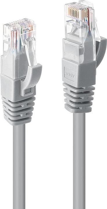 Lindy Netzwerkkabel (U/UTP, CAT6, 2 m)