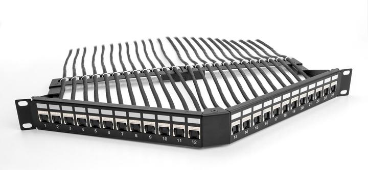 Image du produit Delock 48,30cm (19") Panneau de brassage Keystone 24 ports avec rail de décharge 1U en angle noir