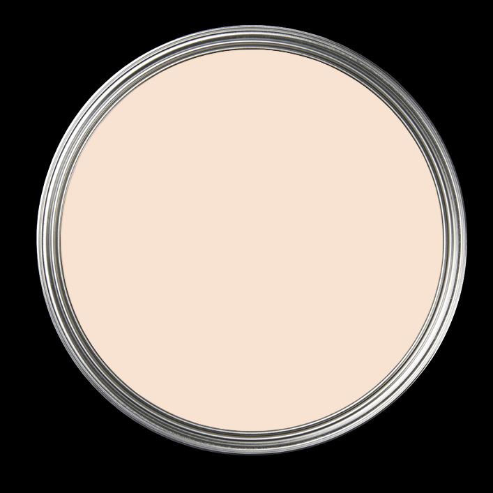 Image du produit Anna von Mangoldt Apricot 173 - Peinture murale Resist (Abricot 173, 5 l)