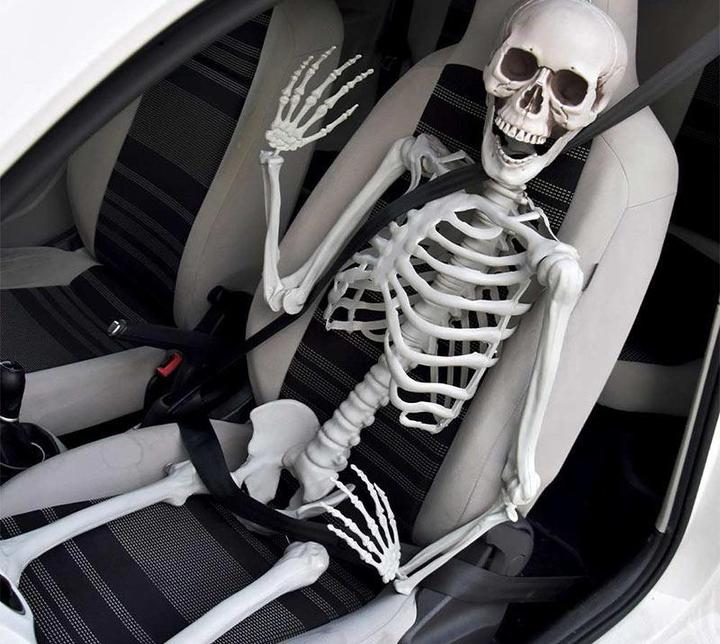 Actual product image TOP Life size skeleton