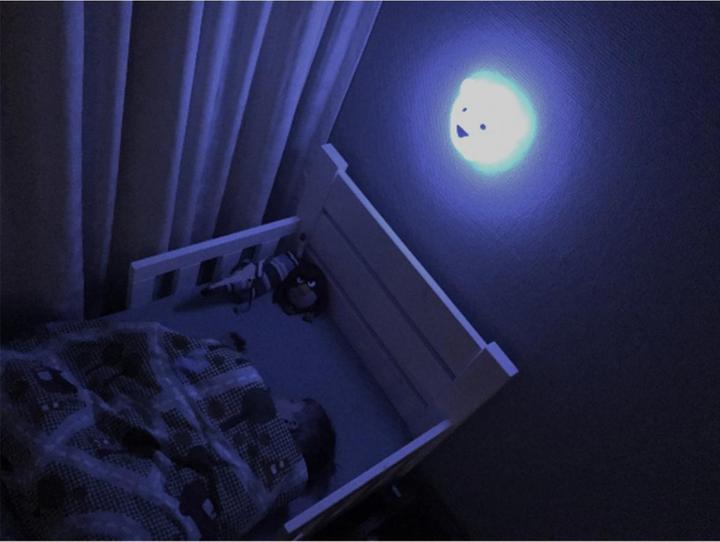 Actual product image Flow Amsterdam LED Björn