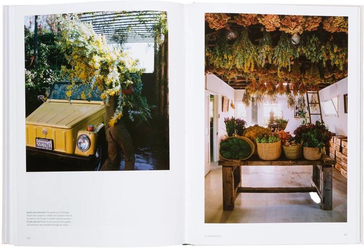 Actual product image The Avant Garden (English, Statures, Robert clans, John Tebbs, 2023)