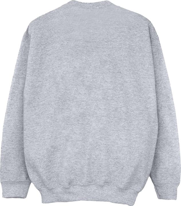 Image du produit - Sweat - Garçon (128)