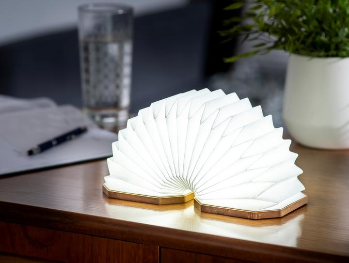 Actual product image Gingko Accordion lamp