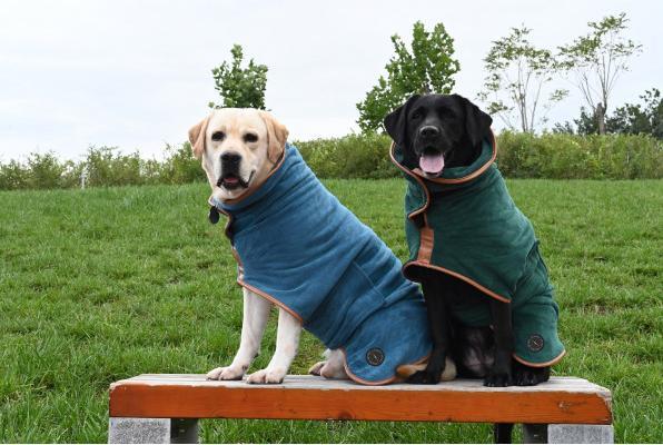 Produktbild Chiara Nereus Hundebademantel (S, Hundemantel)