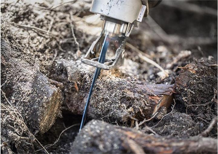 Image du produit Bosch Professional Zubehör Lame de scie alternative Expert 'Tough Wood' S 1142 KHM, 1 pièce