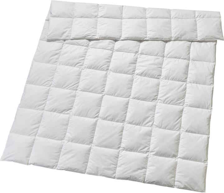 Actual product image Billerbeck Edition Elwine Light (620 g, 200 x 210 cm)