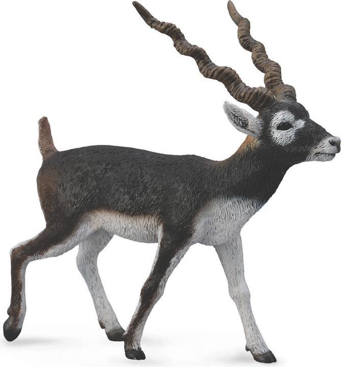 Actual product image Collecta Blackbuck Antelope Figurine (004-88638)
