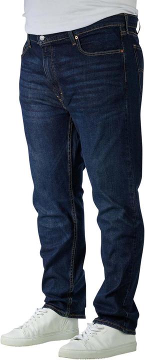 Actual product image Levis 10012858 (W46/L30)