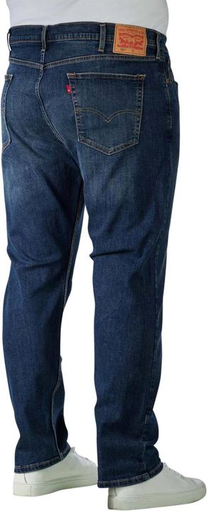 Actual product image Levis 10012858 (W48/L30)
