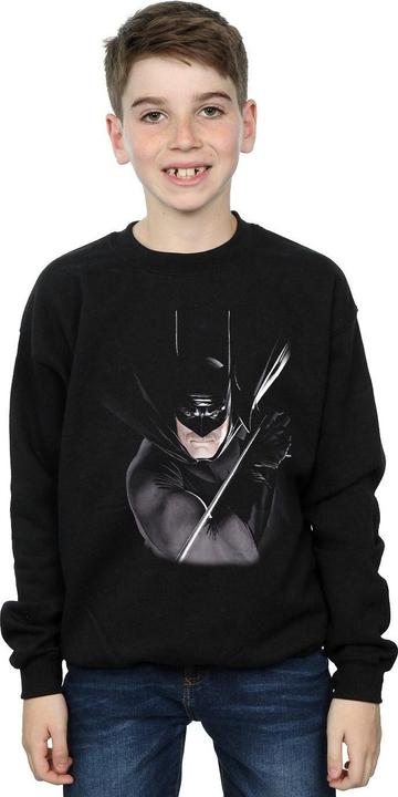 Actual product image Boys Batman By Alex Ross Sweatshirt (140, 146)