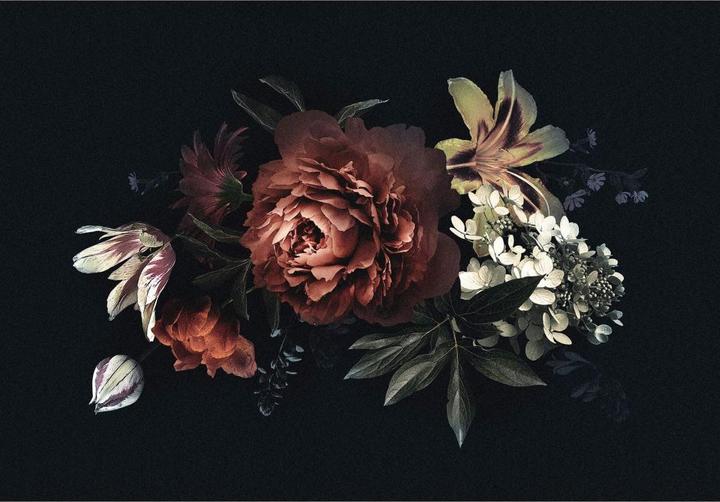 Produktbild Wizard + Genius Blumenbouquet Rot (366 x 254 cm)