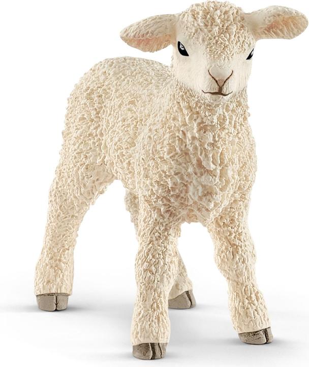 Produktbild Schleich Schleich-Lamm