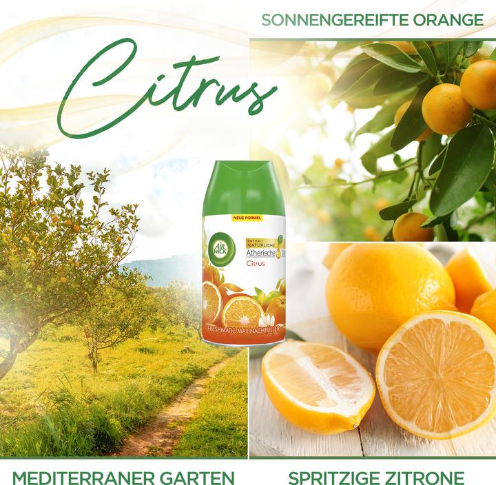 Produktbild Air Wick Freshmatic Nachfüller
