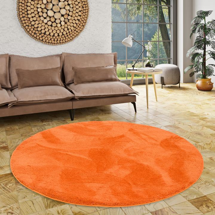 Produktbild Pergamon Luxus Super Soft Hochflor Langflor Teppich Silky Rund (Ø 120 cm)