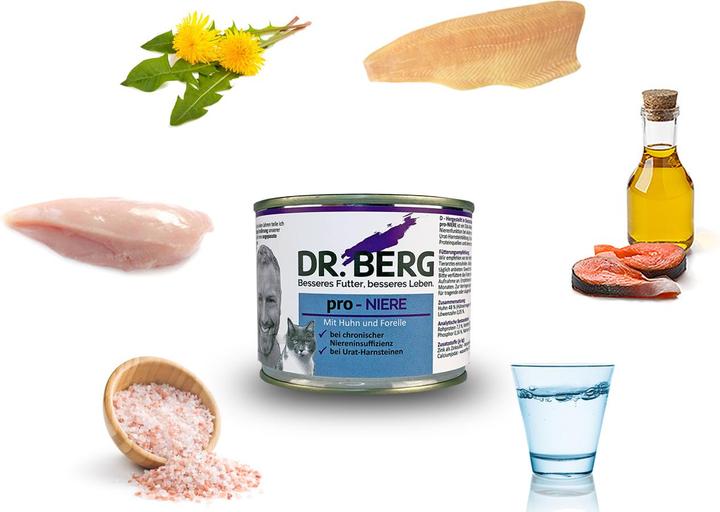 Immagine prodotto Dr. Berg a favore del rene (Adulto, 1 pz., 200 g)