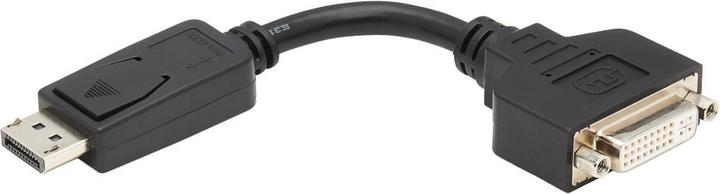 Image du produit Eaton Câble adaptateur DisplayPort vers DVI-I M/F 6inch 15.2cm (0.15 m, DisplayPort)
