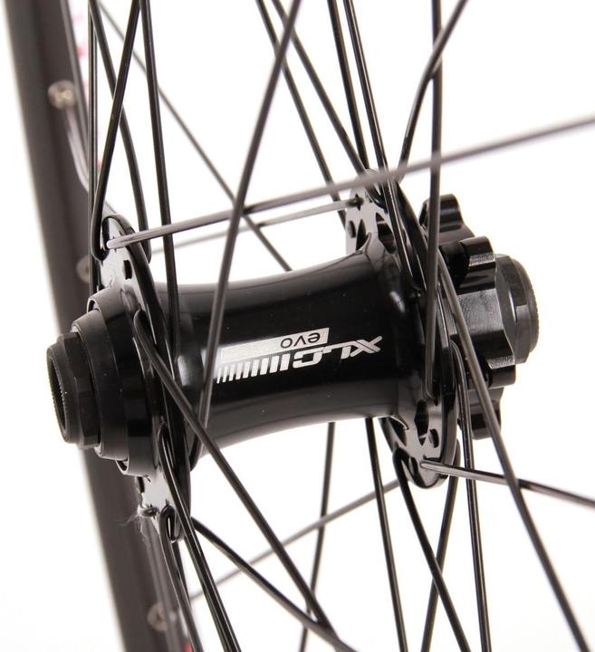 Actual product image XLC DT Swiss D466 (Front wheel, 29")