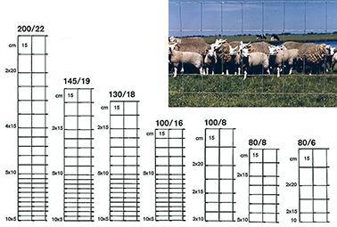 Image du produit Betafence Ursus Light ZAL 200/22/15 50m