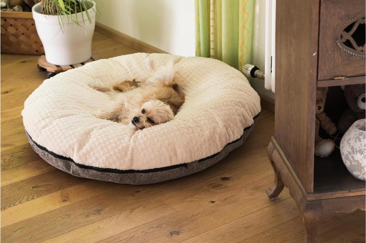Image du produit Trend Pet Lit pour chien Big Belly, beige, S (Chien)