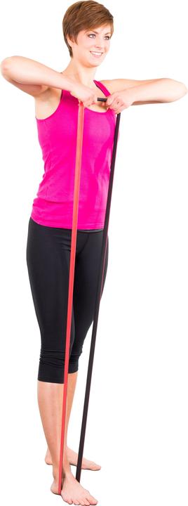 Immagine prodotto Schmidt Sports Deuserband Originale (1 m)