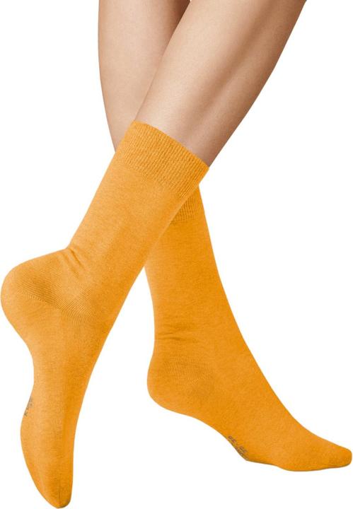 181 light orange