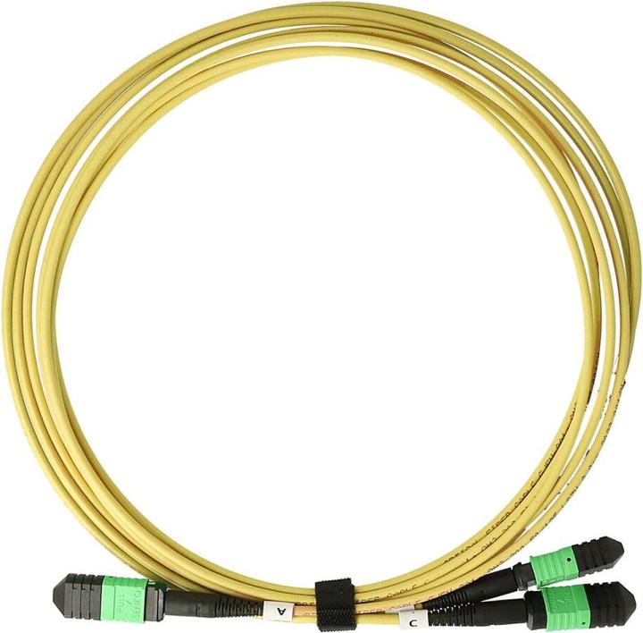 Produktbild BlueOptics LWL MPO-16/APC-2xMPO-12/UPC Breakout Kabel G.657.A1 Singlemode 2 Meter (S/UTP, CAT6, 2 m)