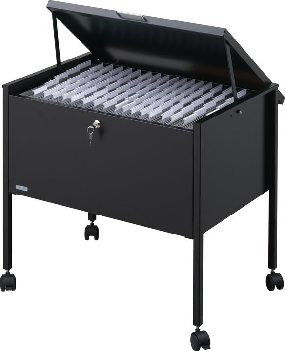 Image du produit Durable Chariot pour dossiers suspendus Economy 80 A4 TOP (8 x 45.5 x 66 cm)