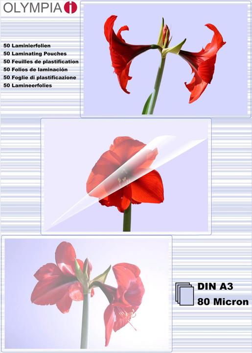 Olympia 1x25 feuilles de laminage DIN A3 80 microns (A3, 25 pièce(s), 80 µm)