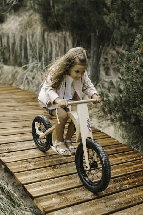 Actual product image Leg&go Downhill bike additional part