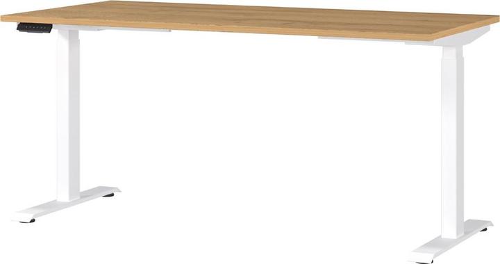 Produktbild Germania JET höhenverstellbarer Schreibtisch grandson-eiche rechteckig, T-Fuss-Gestell weiss 160,0 x 8 (160 x 72 cm)