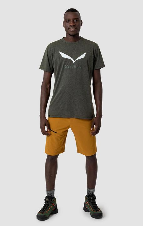 Actual product image Salewa Solidlogo Dri-Release® T-Shirt (L)
