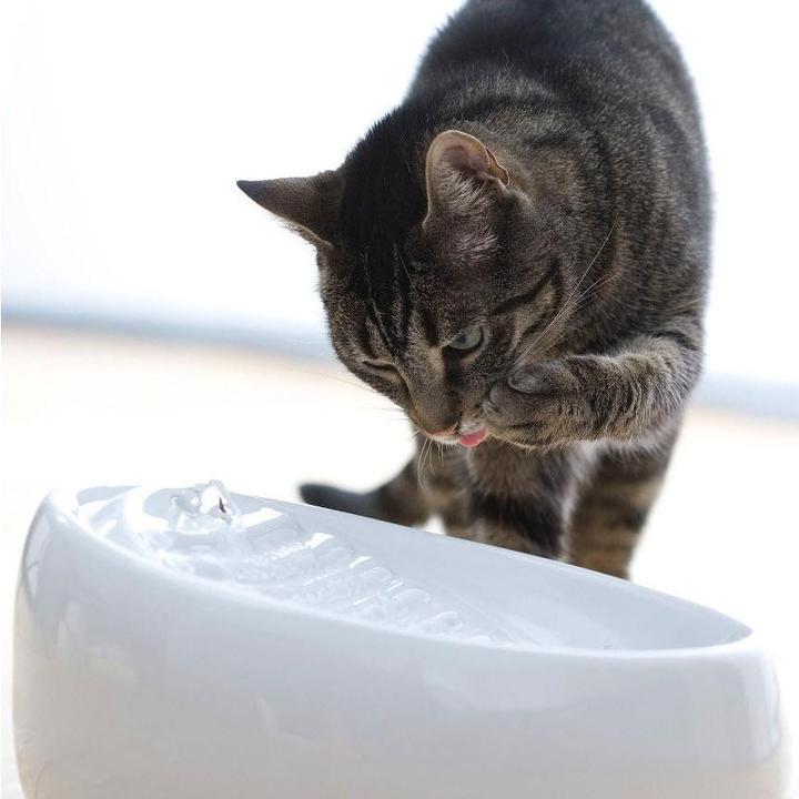 Actual product image Lucky Kitty Ceramic drinking fountain (1.50 l)