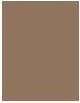 Actual product image NYX Professional Make-Up Zero To Brow (Ash Blonde)