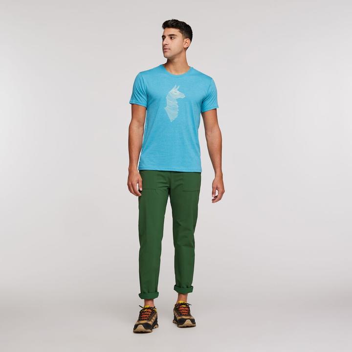 Actual product image Cotopaxi Topo Llama T-Shirt (XXL)