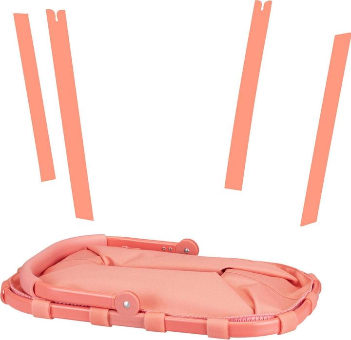 Actual product image reisenthel Einkaufskorb Carrybag Frame Mesh Coral
