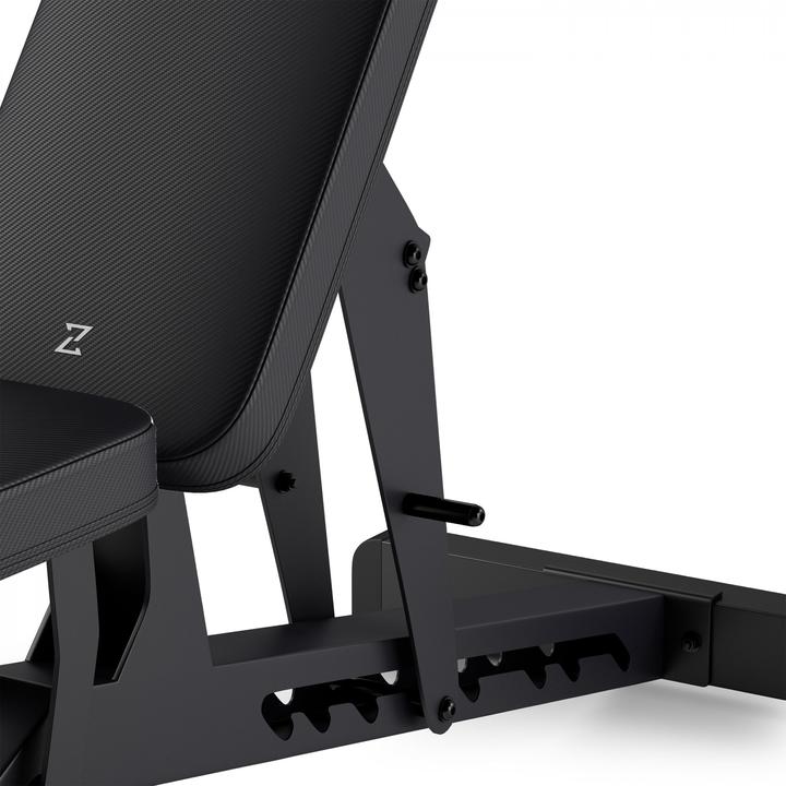 Actual product image Zipro Pump iron