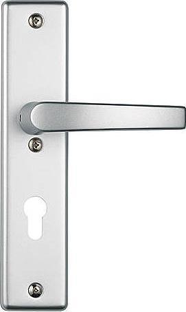 Actual product image Abus Security fitting Haustr HLS214 F9 (Door set)