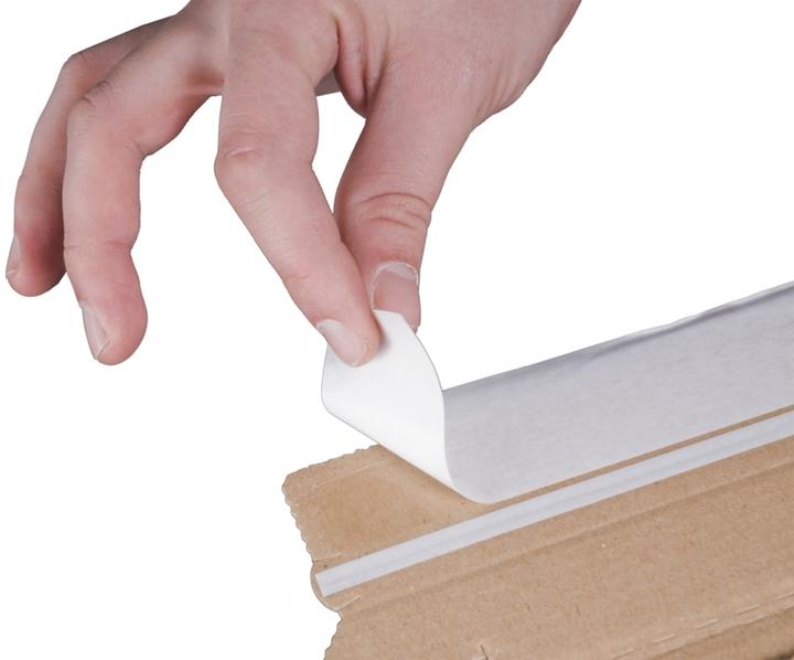 Produktbild Fellowes Versandkarton für Ordner (29.5 x 37 x 9 cm, 1 x)